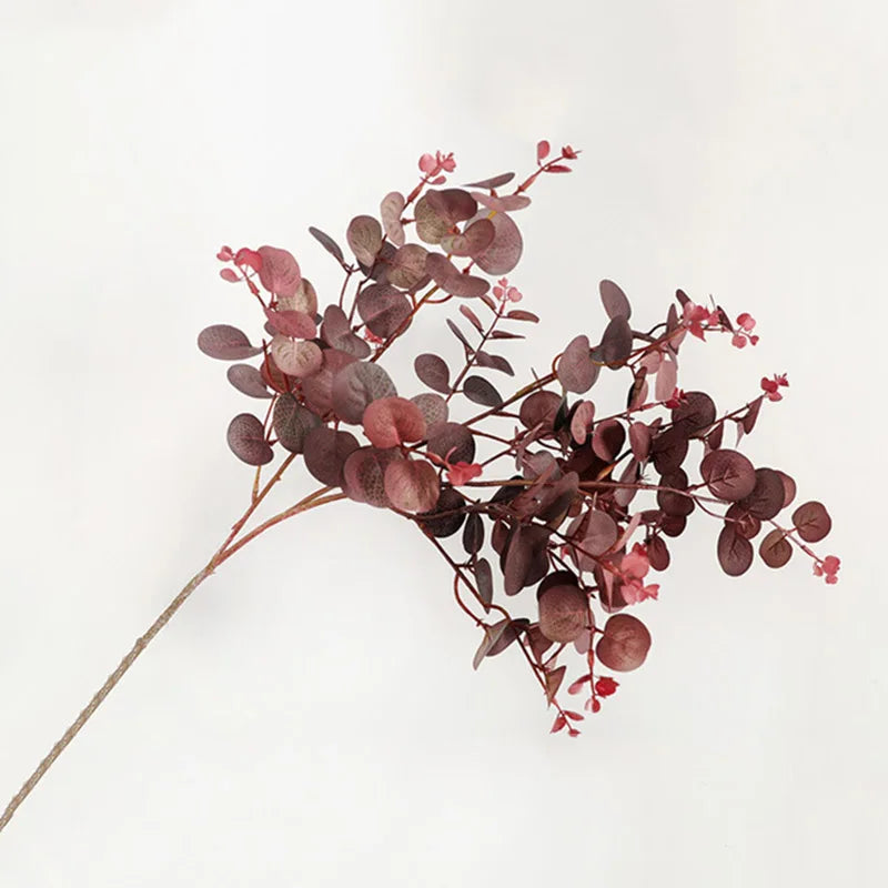 Höstig Gren Av Eucalyptus