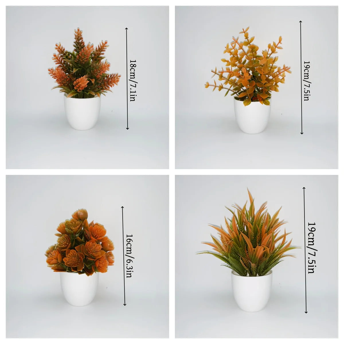 Exklusivt Set med Fyra växter i Hösttoner – Med Vita Krukor